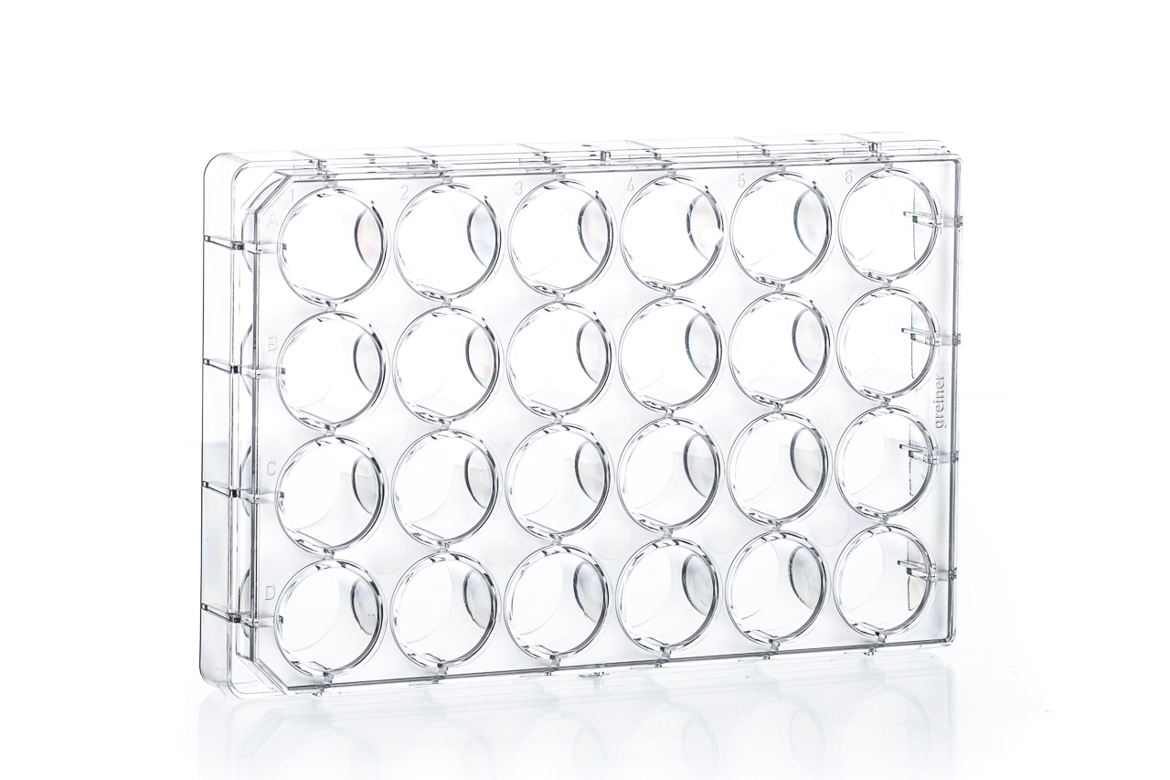 360&deg;